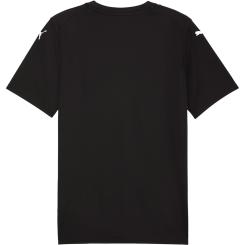 Teamfinal Grafik Trikot