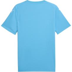 Teamfinal Grafik Trikot
