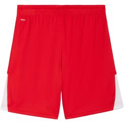 Teamliga 26 Shorts