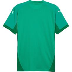 Teamfinal Trikot T-Shirt 