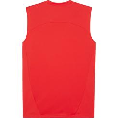 Teamfinal Training Trikot SL 