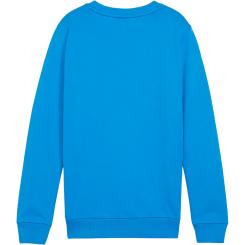 Teamgoal Casuals Crew Neck Sweat Kinder 