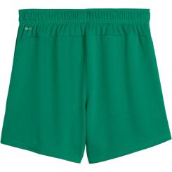 Teamgoal Handball Shorts Damen 