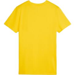 Teamgoal Trikot Damen 