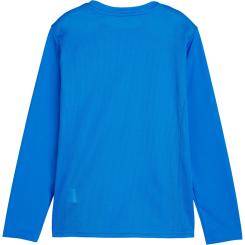 Teamgoal Longsleeve Trikot Kinder 