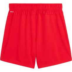 Teamgoal Shorts Damen 