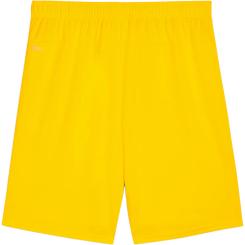 Teamgoal Shorts  