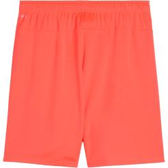 Teamgoal Shorts  