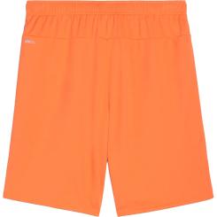 Teamgoal Shorts  