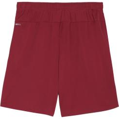 Teamgoal Shorts  