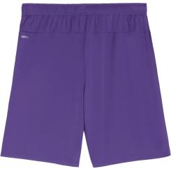 Teamgoal Shorts  