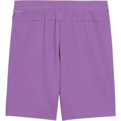 Teamgoal Shorts  