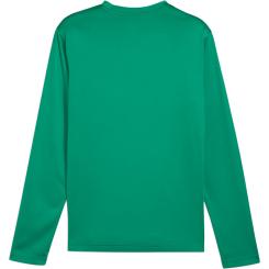 Teamgoal Training Sweat  