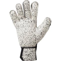 Flex Frame Carbon Torwarthandschuhe 