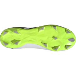 Predator Accuracy.3 L FG 