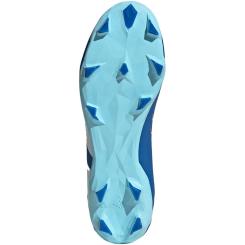 Predator Accuracy.3 L FG 