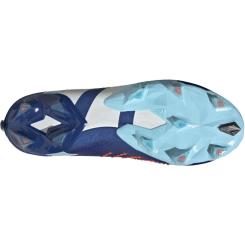 PREDATOR ACCURACY.1 FG 