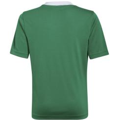 Entrada 22 Trikot Kinder 