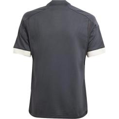 Juventus Turin Ausweichtrikot 2023/2024 Kinder 