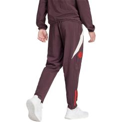 FC Bayern München Präsenationshose 