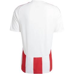 STRIPED 24 Trikot 