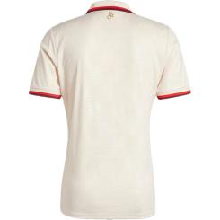 FC Bayern München 24/25 Ausweichtrikot 