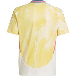 Juventus Turin 24/25 Auswärtstrikot 