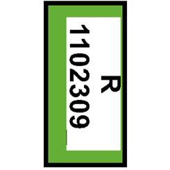 Change Präsentationshose 