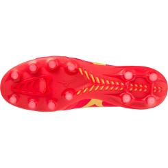 Morelia Neo IV Beta 