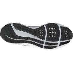 Air Zoom Pegasus 40 Damen 