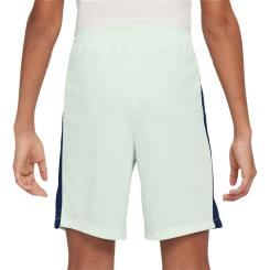 Dri-FIT Academy 23 Fußballshorts CR7 Kinder 