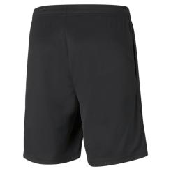 teamRise Training Short 