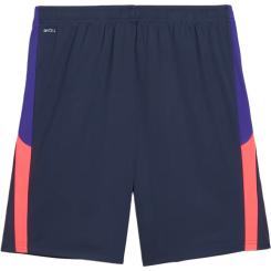 individualLIGA Trainingsshorts 
