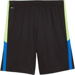 IndividualLIGA Trainingsshorts 