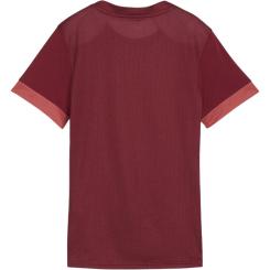 teamGOAL Matchday Trikot 