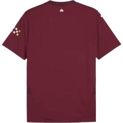 Manchester City 24/25 Ausweichtrikot 