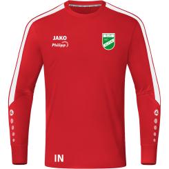 TW-Trikot Power 