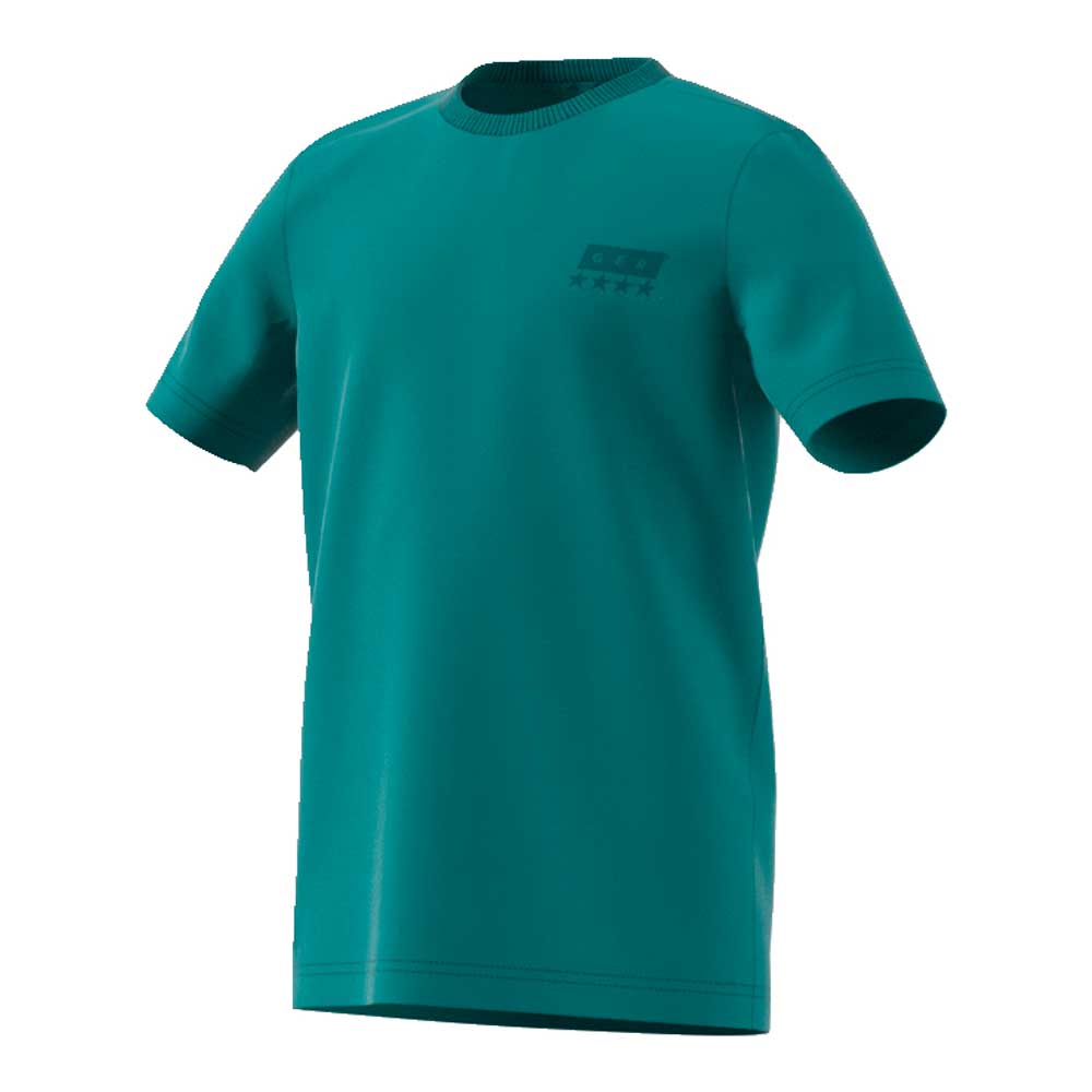 Teamsport Philipp | Adidas DFB Street Graphic T-Shirt WM 2018 Kinder 176  CF2471 | günstig online kaufen