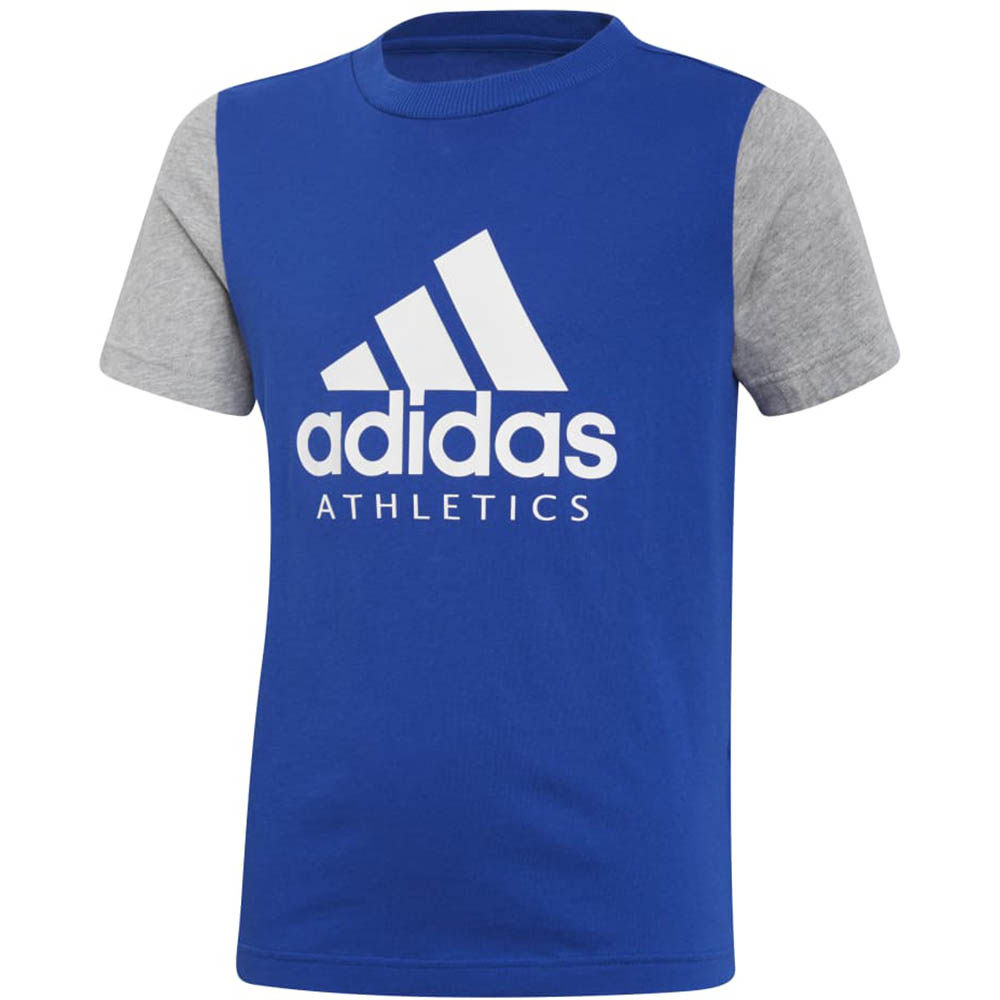 Adidas Sportswear logo. Фамилия адидас