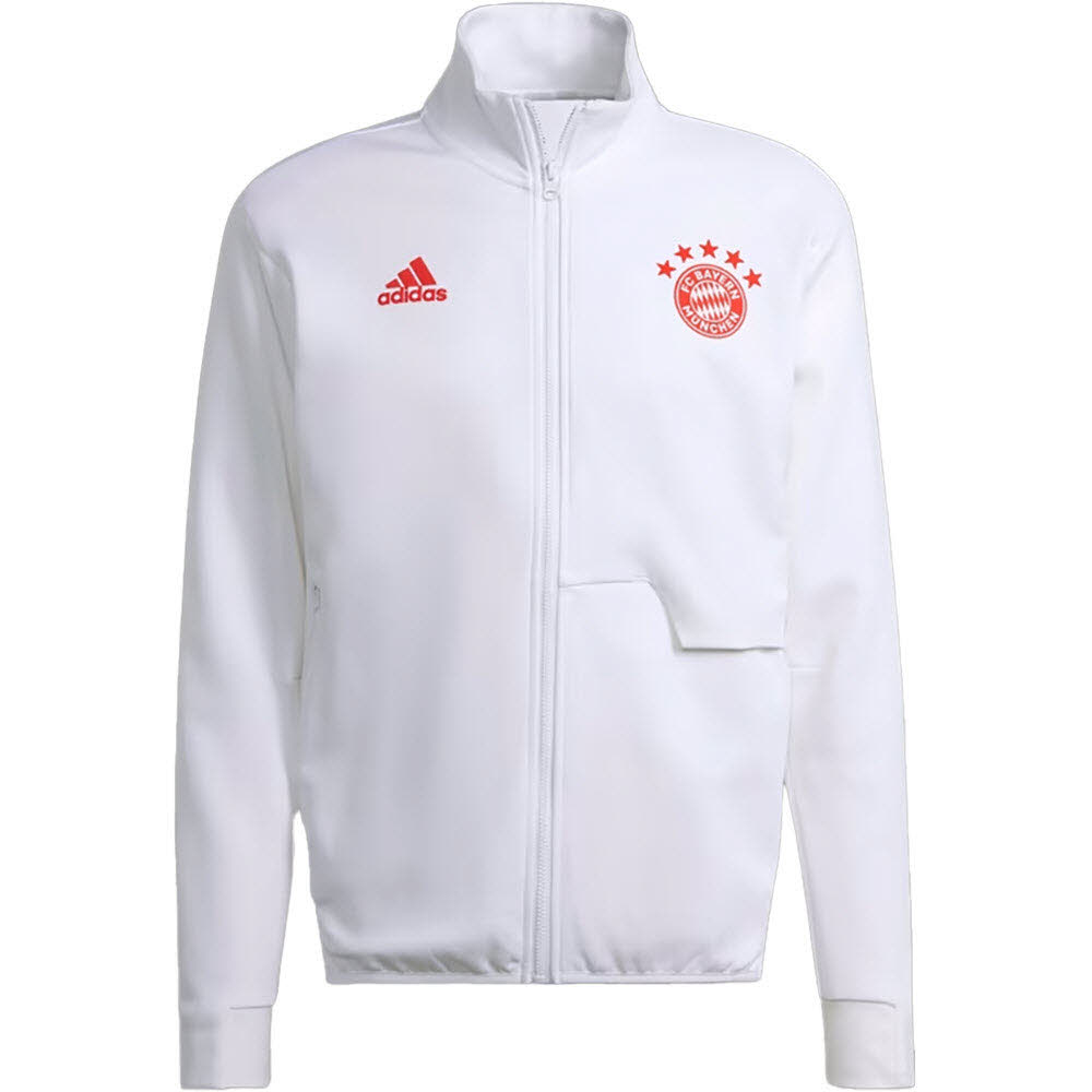Teamsport Philipp | Adidas FC Bayern München Anthem Jacke HY3276 | günstig  online kaufen