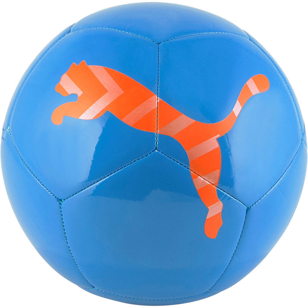 Teamsport Philipp Puma Icon Ball 5 083993/001 günstig online kaufen